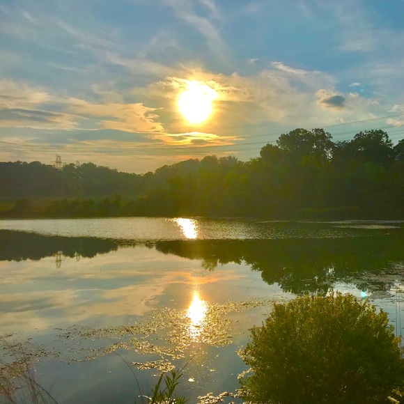 Meet your Posher, Angie - Picture 7 of 14